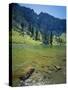 High Creek Lake and Bear River Range, Mount Naomi Wilderness, Wasatch-Cache National Forest, Utah,-Scott T^ Smith-Stretched Canvas