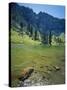 High Creek Lake and Bear River Range, Mount Naomi Wilderness, Wasatch-Cache National Forest, Utah,-Scott T^ Smith-Stretched Canvas