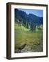 High Creek Lake and Bear River Range, Mount Naomi Wilderness, Wasatch-Cache National Forest, Utah,-Scott T^ Smith-Framed Photographic Print