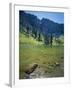 High Creek Lake and Bear River Range, Mount Naomi Wilderness, Wasatch-Cache National Forest, Utah,-Scott T^ Smith-Framed Photographic Print