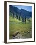 High Creek Lake and Bear River Range, Mount Naomi Wilderness, Wasatch-Cache National Forest, Utah,-Scott T^ Smith-Framed Photographic Print