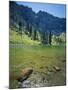 High Creek Lake and Bear River Range, Mount Naomi Wilderness, Wasatch-Cache National Forest, Utah,-Scott T^ Smith-Mounted Photographic Print