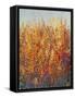 High Desert Blossoms I-Tim O'toole-Framed Stretched Canvas