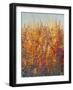 High Desert Blossoms I-Tim O'toole-Framed Art Print