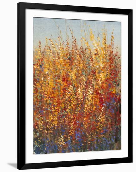 High Desert Blossoms I-Tim O'toole-Framed Art Print