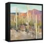 High Desert I-Julia Purinton-Framed Stretched Canvas