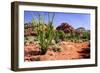 High Desert II-Alan Hausenflock-Framed Photographic Print