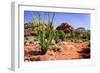 High Desert II-Alan Hausenflock-Framed Photographic Print