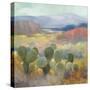 High Desert II-Julia Purinton-Stretched Canvas
