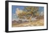 High Desert Oaks-Julian Onderdonk-Framed Premium Giclee Print