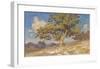 High Desert Oaks-Julian Onderdonk-Framed Premium Giclee Print