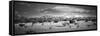 High Desert Plains Landscape with Snowcapped Sangre De Cristo Mountains in the Background-null-Framed Stretched Canvas
