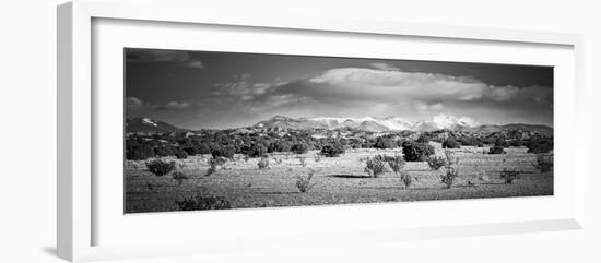 High Desert Plains Landscape with Snowcapped Sangre De Cristo Mountains in the Background-null-Framed Photographic Print