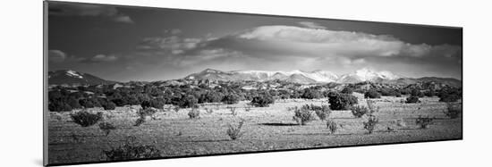 High Desert Plains Landscape with Snowcapped Sangre De Cristo Mountains in the Background-null-Mounted Photographic Print