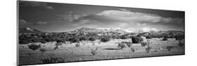 High Desert Plains Landscape with Snowcapped Sangre De Cristo Mountains in the Background-null-Mounted Photographic Print