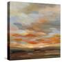 High Desert Sky II-null-Stretched Canvas