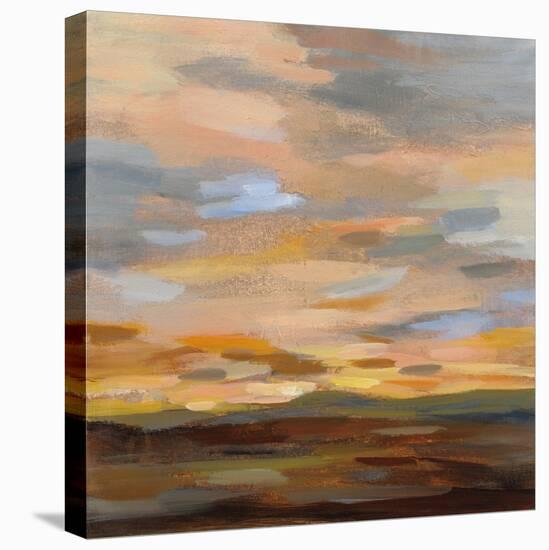 High Desert Sky III-Silvia Vassileva-Stretched Canvas