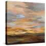 High Desert Sky III-Silvia Vassileva-Stretched Canvas