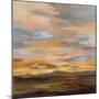 High Desert Sky III-Silvia Vassileva-Mounted Art Print