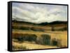 High Desert-Tim O'toole-Framed Stretched Canvas