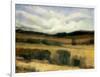 High Desert-Tim O'toole-Framed Giclee Print