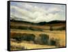 High Desert-Tim O'toole-Framed Stretched Canvas