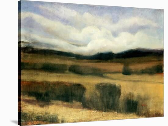 High Desert-Tim O'toole-Stretched Canvas