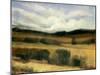 High Desert-Tim O'toole-Mounted Giclee Print