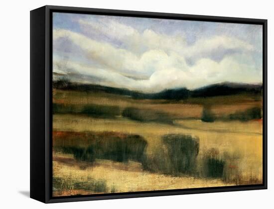 High Desert-Tim O'toole-Framed Stretched Canvas