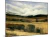 High Desert-Tim O'toole-Mounted Giclee Print