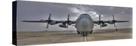 High Dynamic Range Image of a US Air Force C-130 Herucles-null-Stretched Canvas