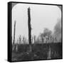 High Explosive Shells Bursting in Mametz Wood, France, World War I, 1916-null-Framed Stretched Canvas