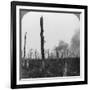 High Explosive Shells Bursting in Mametz Wood, France, World War I, 1916-null-Framed Photographic Print