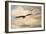 High Flyer Bald Eagle-Jai Johnson-Framed Giclee Print