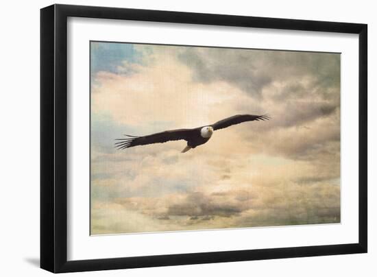 High Flyer Bald Eagle-Jai Johnson-Framed Giclee Print