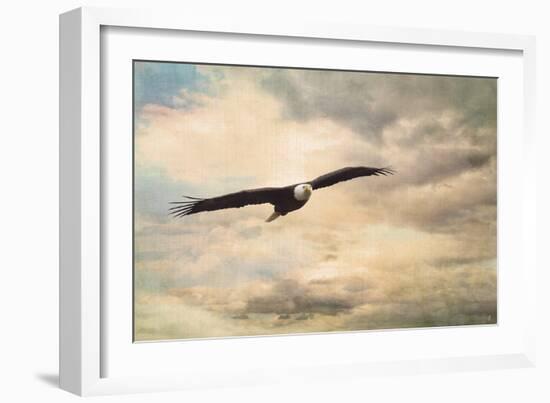 High Flyer Bald Eagle-Jai Johnson-Framed Giclee Print