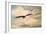 High Flyer Bald Eagle-Jai Johnson-Framed Giclee Print