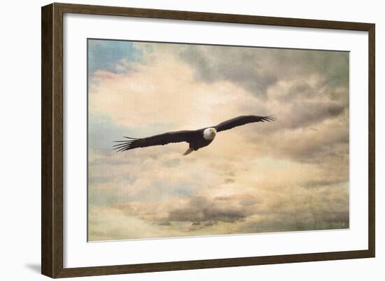 High Flyer Bald Eagle-Jai Johnson-Framed Giclee Print