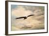 High Flyer Bald Eagle-Jai Johnson-Framed Giclee Print