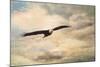 High Flyer Bald Eagle-Jai Johnson-Mounted Giclee Print