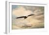 High Flyer Bald Eagle-Jai Johnson-Framed Premium Giclee Print