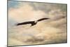 High Flyer Bald Eagle-Jai Johnson-Mounted Premium Giclee Print