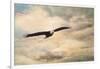 High Flyer Bald Eagle-Jai Johnson-Framed Giclee Print