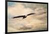 High Flyer Bald Eagle-Jai Johnson-Framed Giclee Print