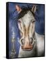 High Horse-Leah Saulnier-Framed Stretched Canvas