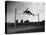 High Jump Championship in Colombes, 1952-null-Stretched Canvas