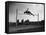 High Jump Championship in Colombes, 1952-null-Framed Stretched Canvas