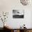 High Jump Championship in Colombes, 1952-null-Photographic Print displayed on a wall