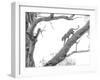 High Key Leopard-Jaco Marx-Framed Photographic Print