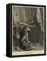 High Life-Edwin Landseer-Framed Stretched Canvas